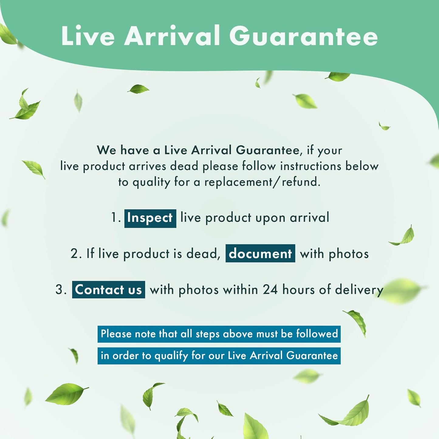 Anubias Live Aquarium Plants - Potted Freshwater Plant for Fish Tanks, Terrariums - Beginner Friendly Low Light (Nana Golden, 1 Pot)