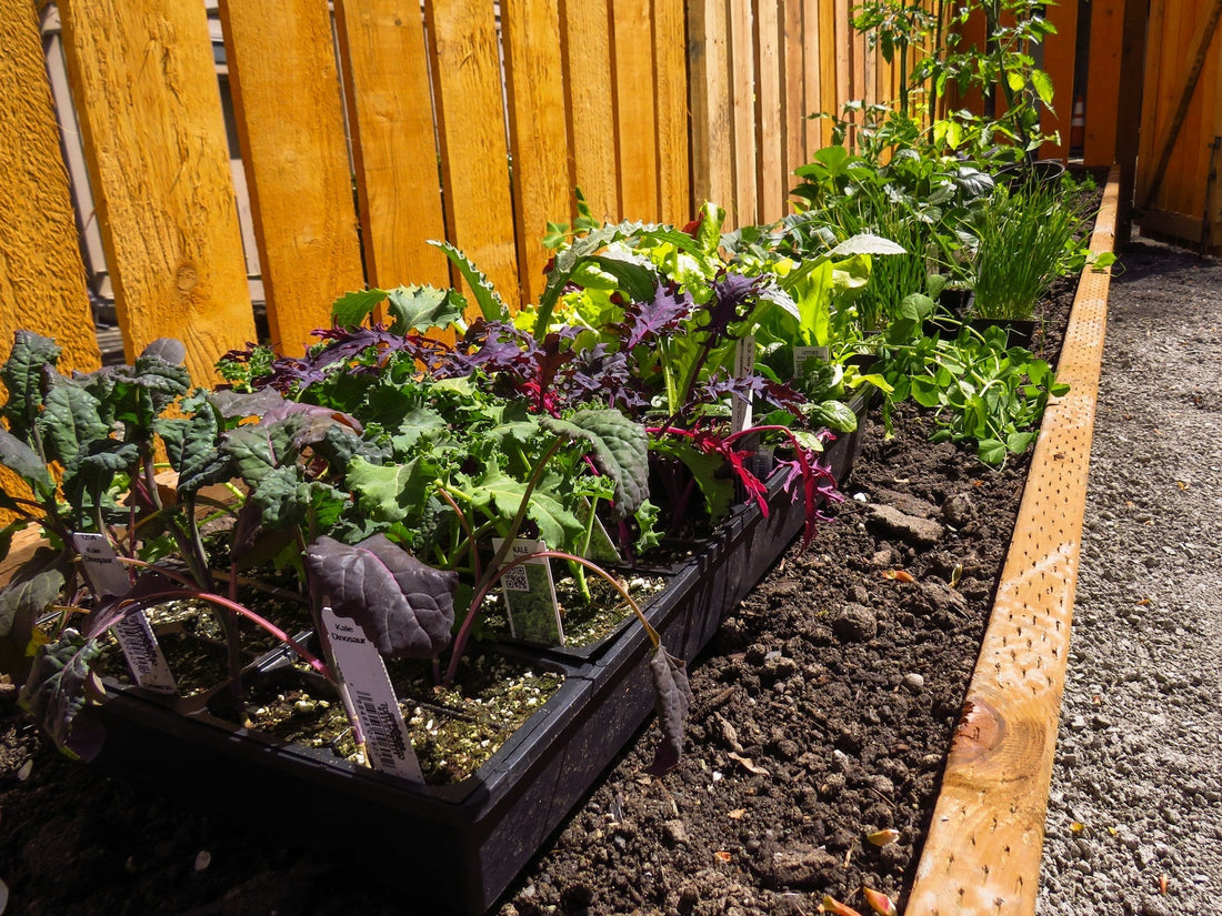 How Sustainable Gardening Can Transform Your Outdoor Space