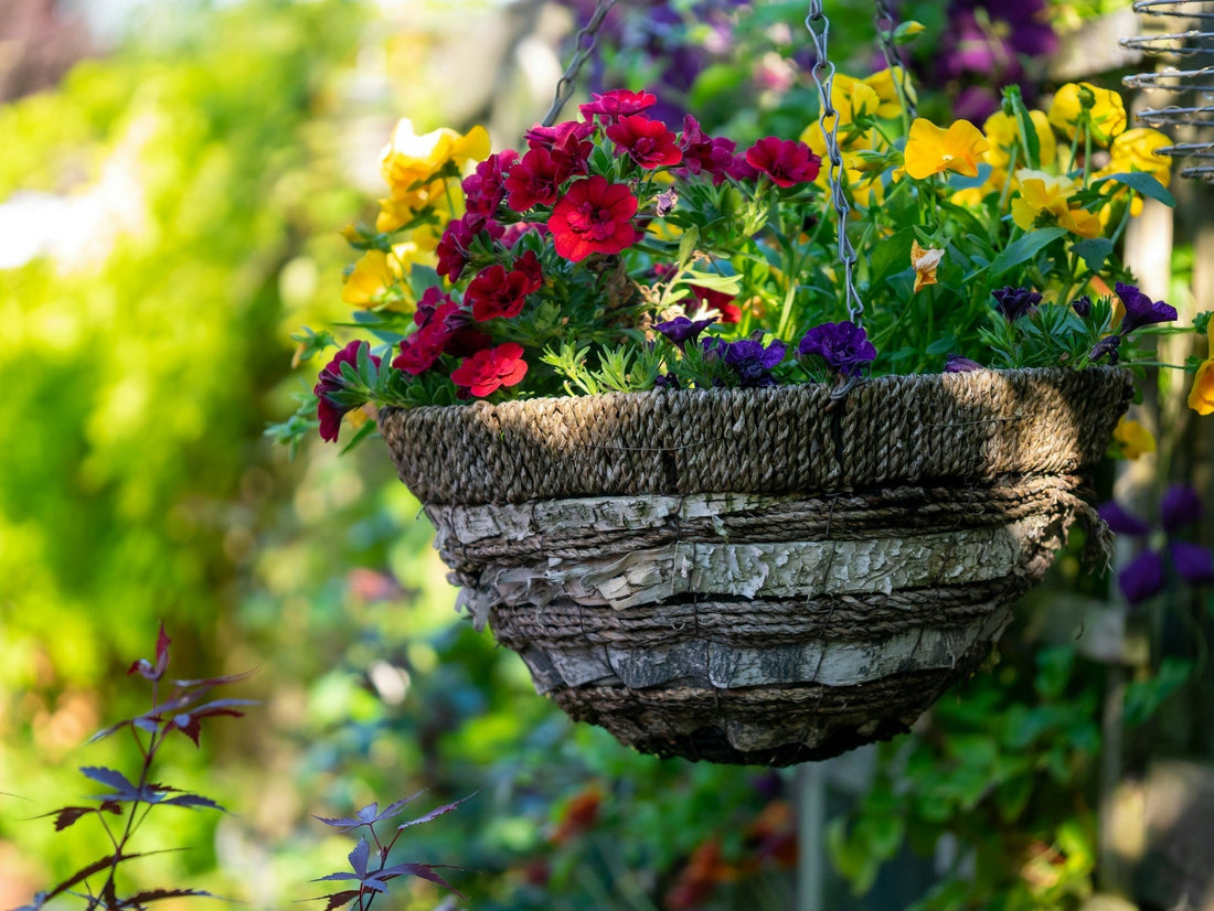 Essential Garden Supplies Every Home Gardener in America Needs This Season
