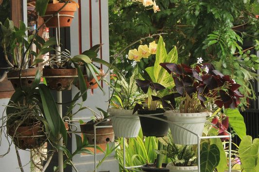 The Ultimate Guide to Choosing the Right Planters and Pots for Your Garden