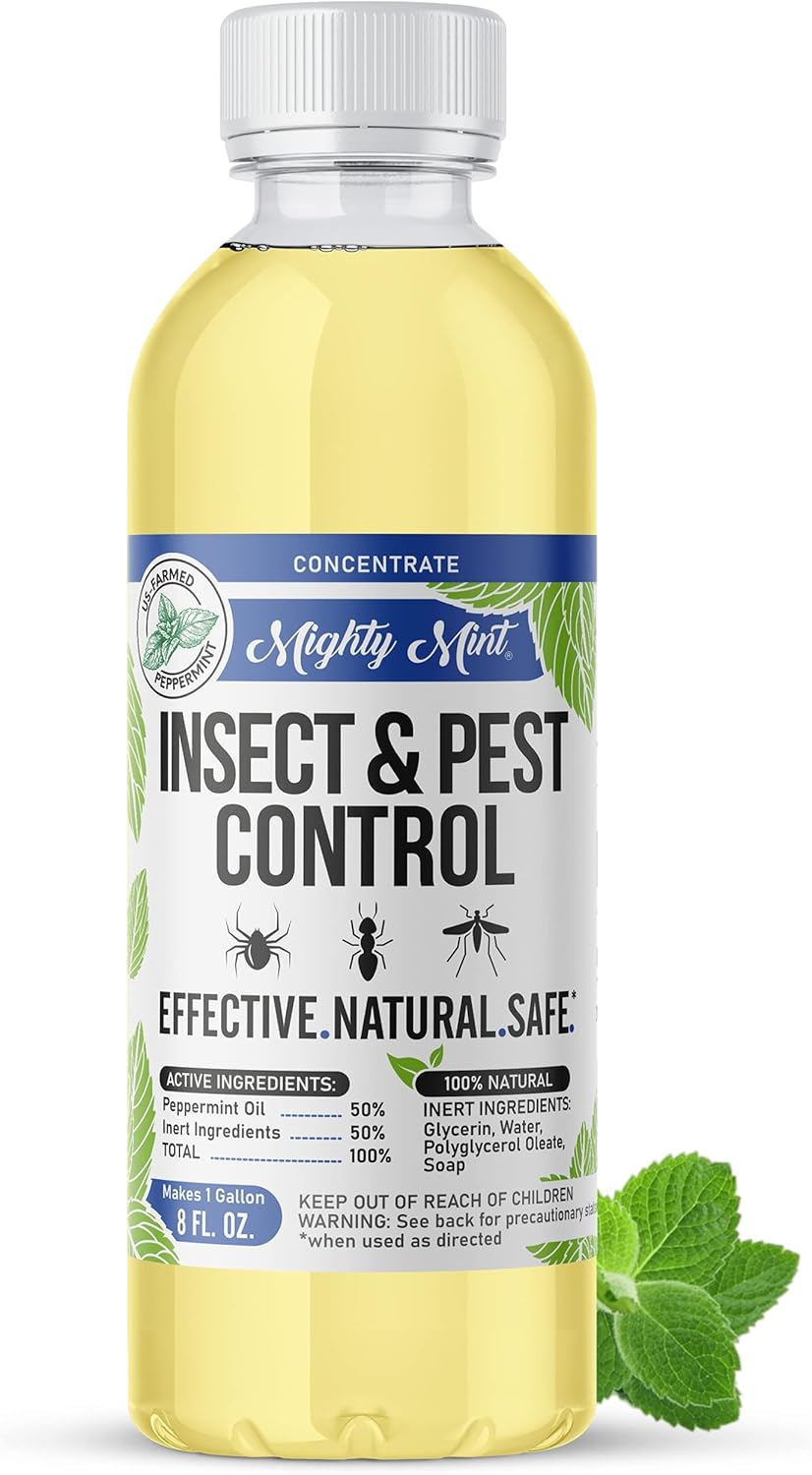 Indoor Insect & Pest Control