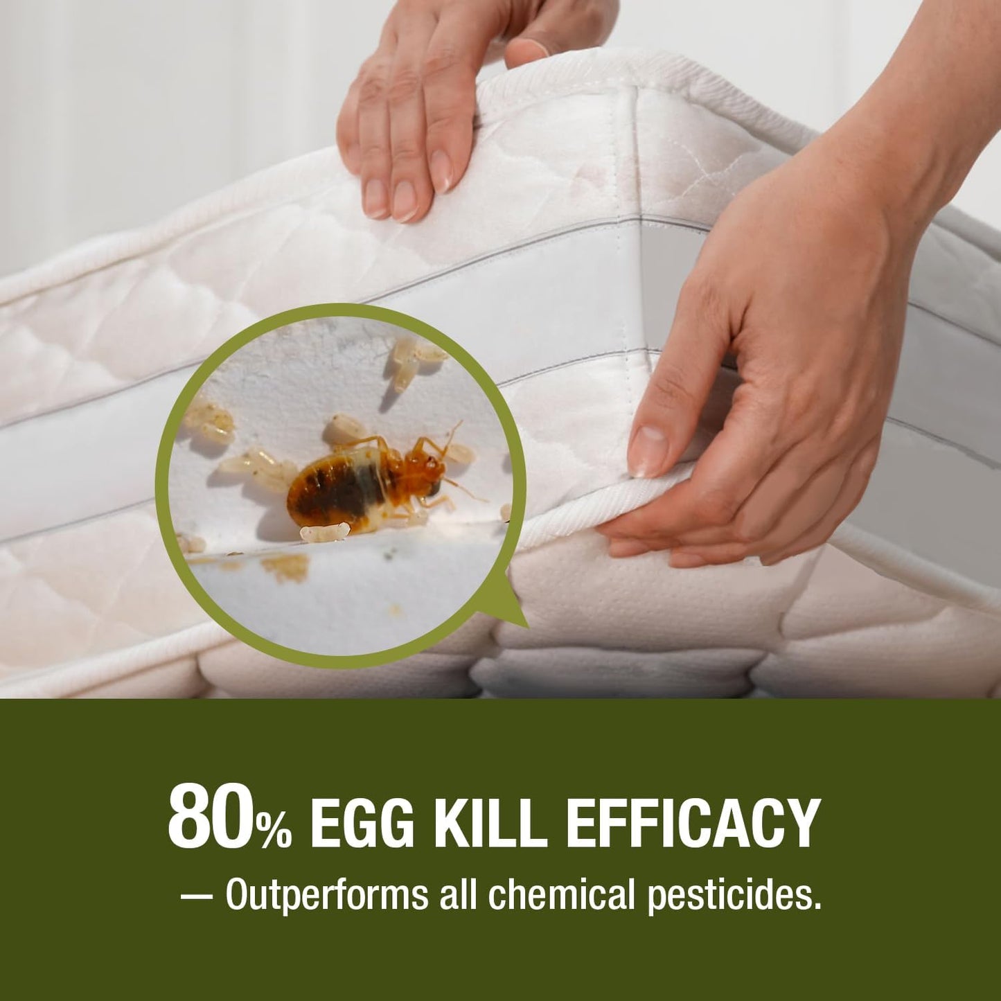 EcoVenger (Formerly EcoRaider) Bed Bug Killer with Remote Sprayer 1Gal - Kills 100% All Stages on Contact- Kills Resistant Bugs- Kills Eggs- 14 Day Residual Protection- Non-toxic- Child & Pet Friendly