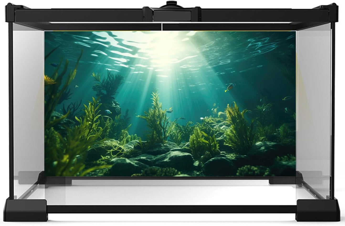 Ocean Aquarium Background Aquatic Plants with Rocks Terrarium Backdrop Sunlight Rays Deep Sea Fish Tank Background Aquarium Wallpaper Poster Decor Vinyl 24x12in
