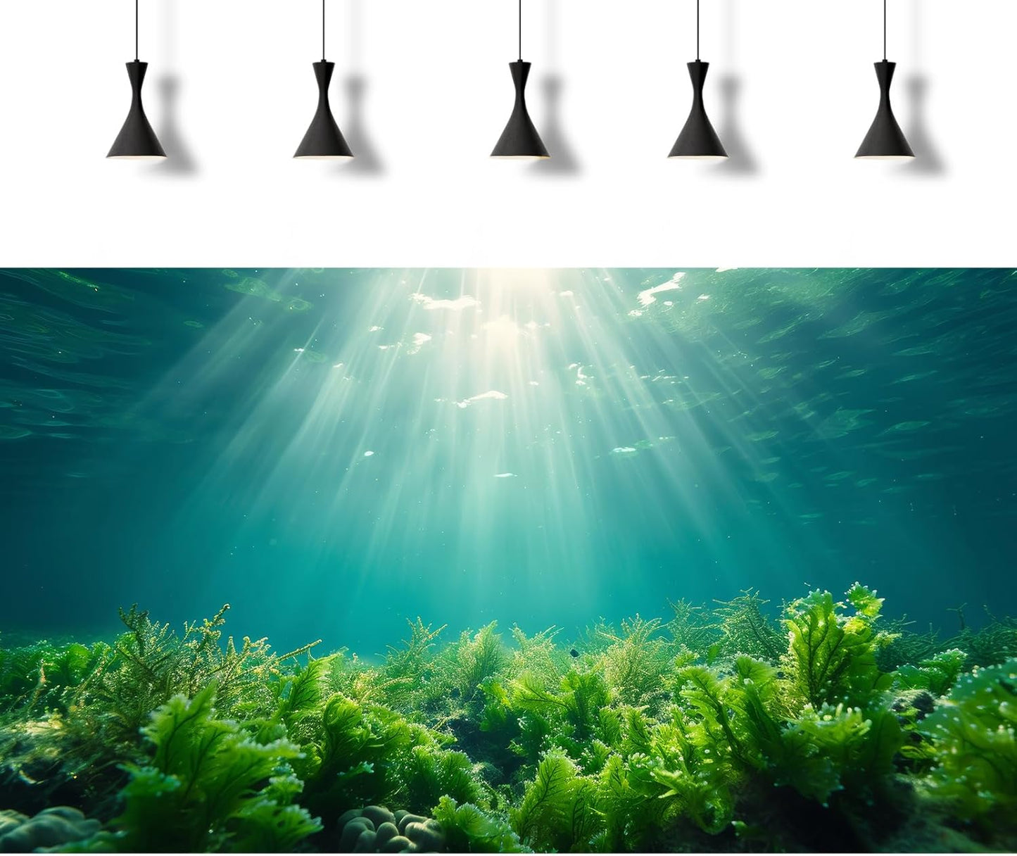 Deep Ocean Fish Tank Background Under The Sea Aquatic Plants Aquarium Background Underwater Corals Sunray Terrarium Backgrounds Tropical Fish Ocean World Aquarium Backgrounds Decorations 24x16in