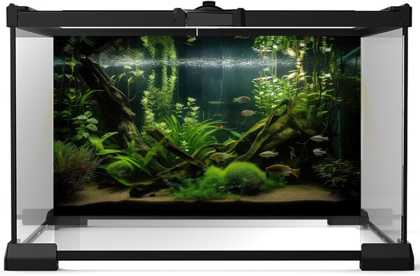 Aquarium Background Diverse Aquatic Plants and Seagrasses Terrarium Background Redwood Root Lush Green Underwater Plants Moss Fish Tank Background Under The Sea Aquarium Backdrop Vinyl 36x18in