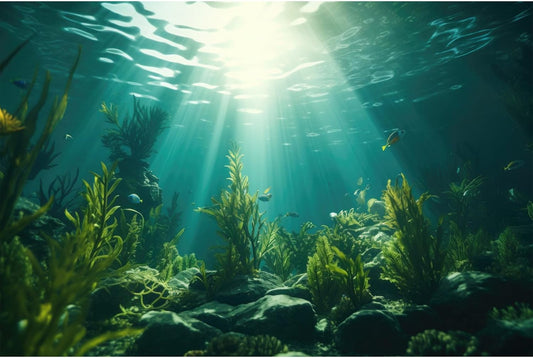 Ocean Aquarium Background Aquatic Plants with Rocks Terrarium Backdrop Sunlight Rays Deep Sea Fish Tank Background Aquarium Wallpaper Poster Decor Vinyl 72x18in