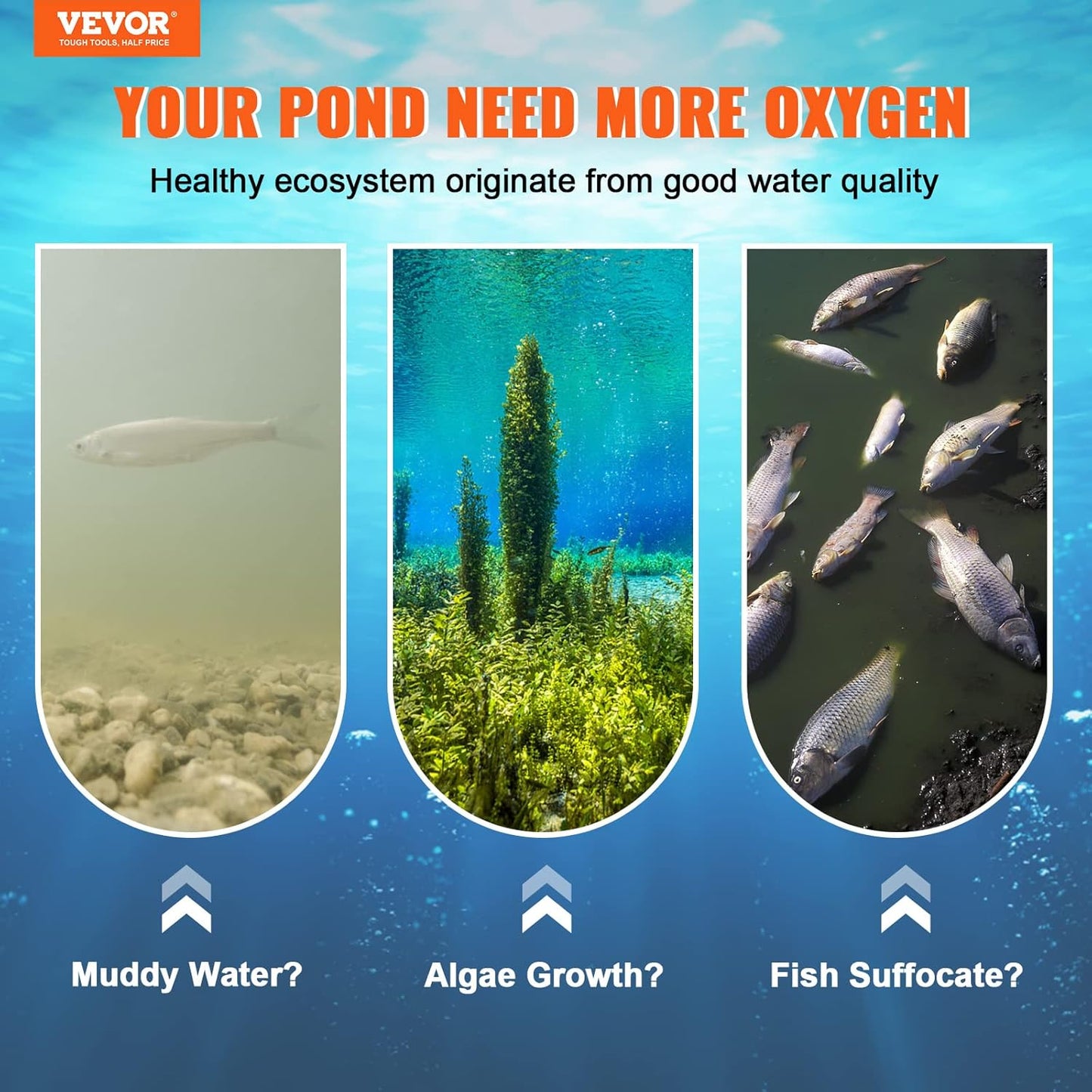 VEVOR Pond Aerator, 550W Power, 5.2CFM for Up to 1 Acre 50' Lake, Aeration Kit Includes 3/4 HP Compressor & 100' Weighted Tubing & Diffuser, Air Compressor for Deep Water Oxygen Circulation