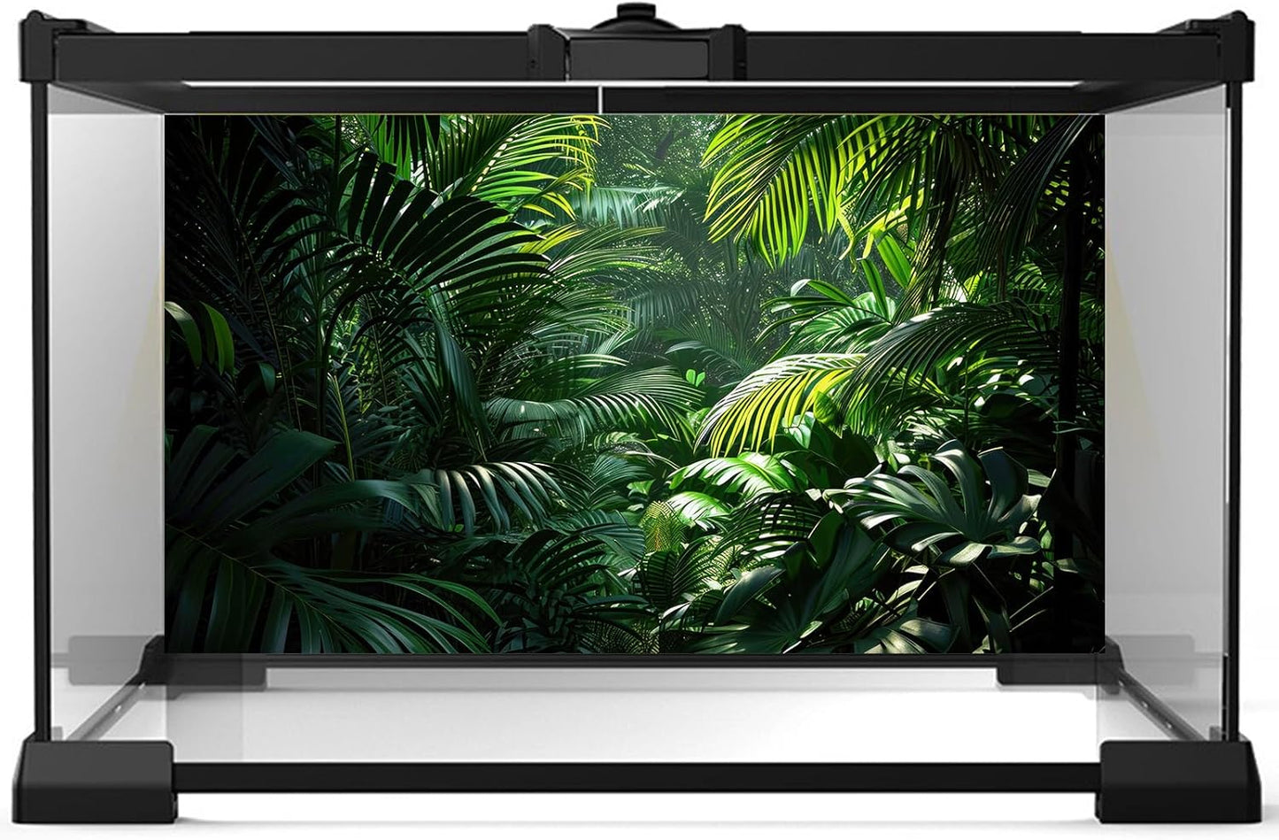 Aquarium Background Enchanting Beauty of Jungle Terrarium Backdrop Nature Jungle Green Leaf Palms Fish Tank Background Reptile Habitat Backdrop Wallpaper Poster Decor Vinyl 72x24in