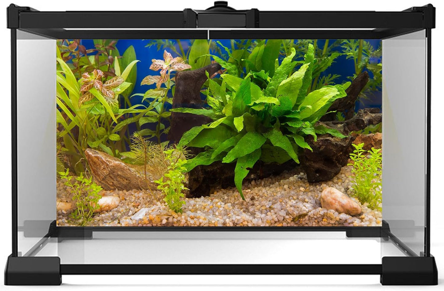 Underwater Aquarium Background Grass Leaves Pebble Aquarium Background Vivid and Fresh Green Aquatic Plant Stone River Bed Fish Dead Wood Leaves Tank Backdrop Decors Vinyl 48x18in