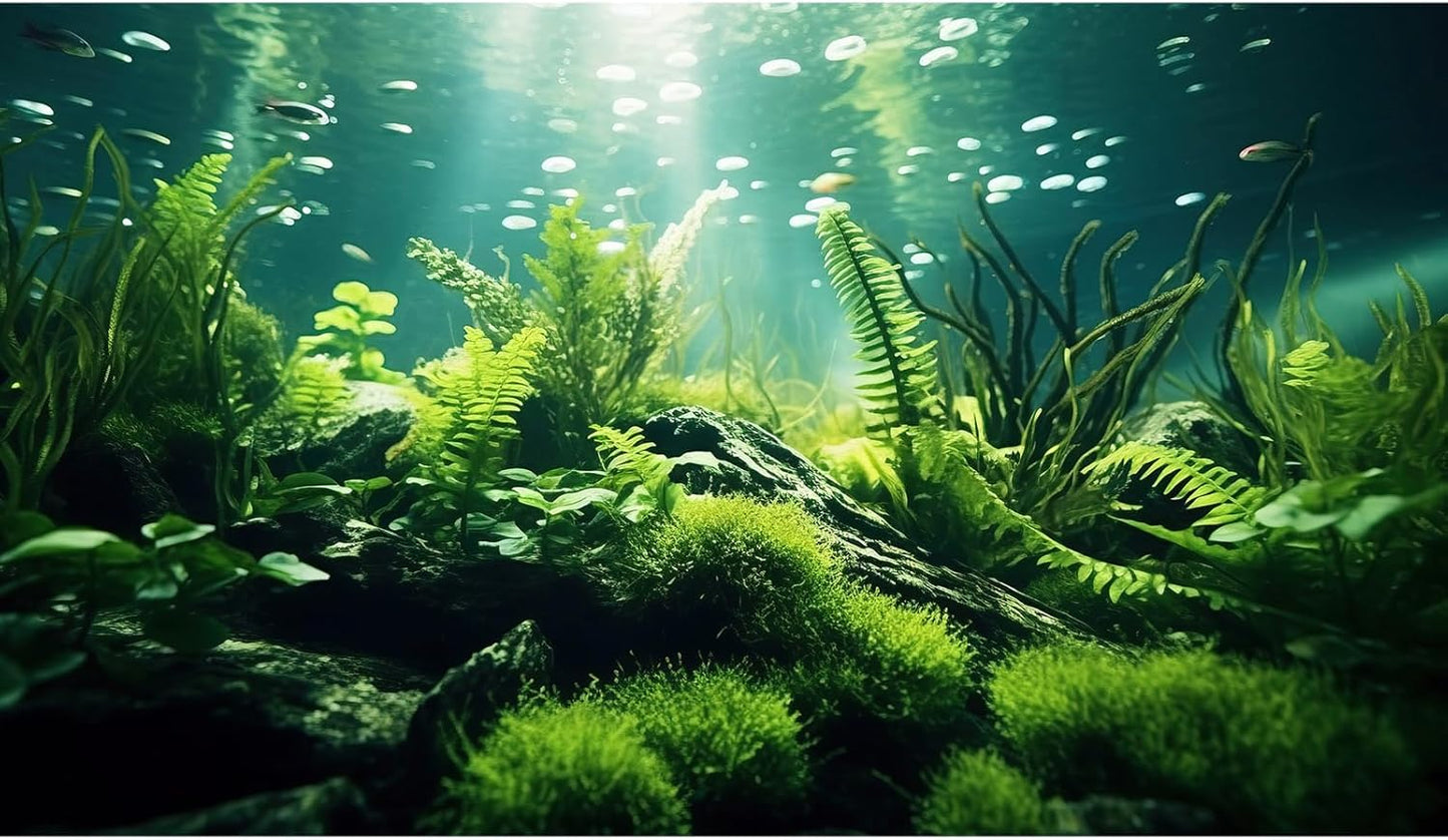 Underwater Fish Tank Background Under The Sea Aquatic Plants Aquarium Background Ocean Floor Rock Terrarium Backgrounds Tropical Fish Green Seaweeds Aquarium Backgrounds for Fish Tank Decor 24x16in
