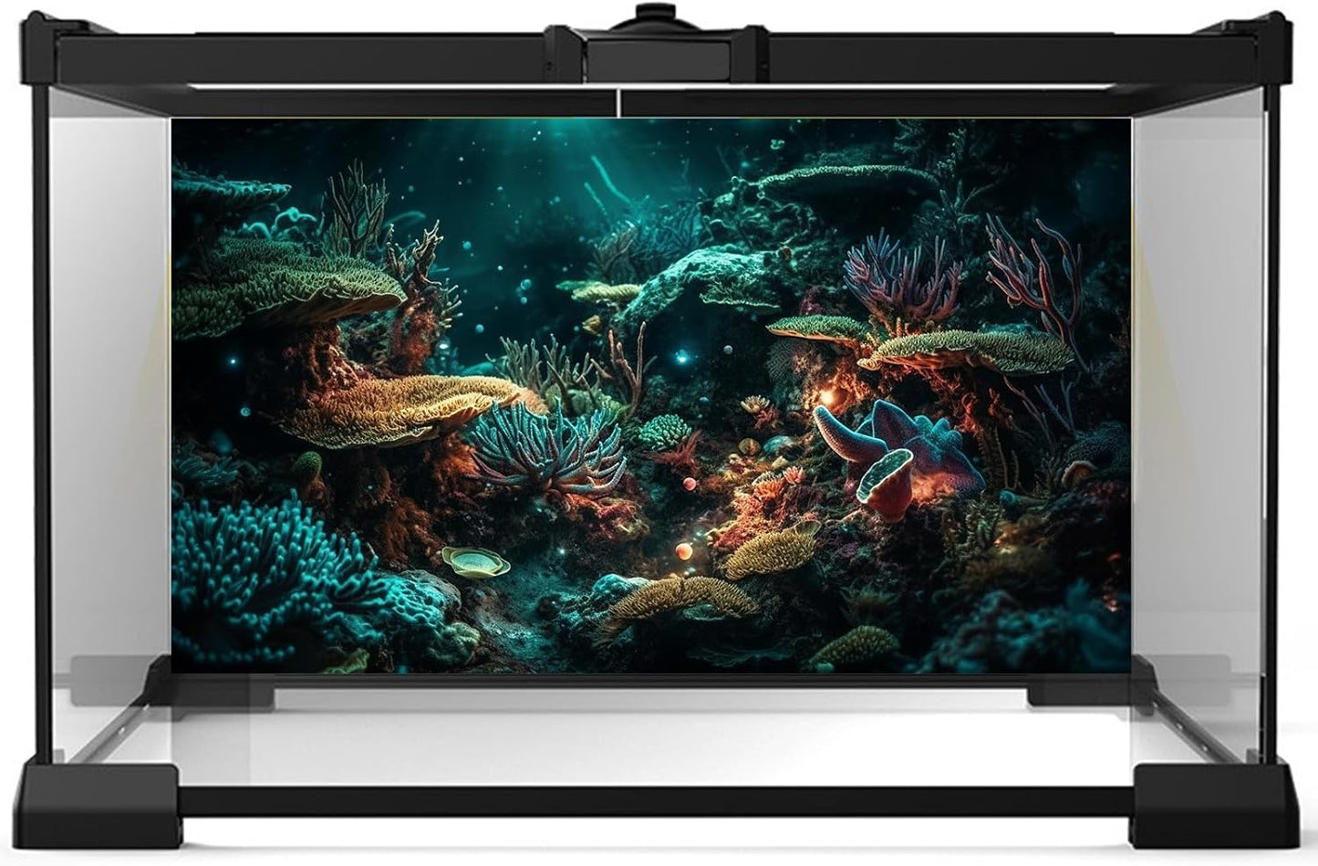 Aquarium Background Colorful Picturesque Coral Reef Terrarium Background Tropical Sea Various Hard Corals Underwater Landscape Fish Tank Backdrop Aquarium Poster Background Vinyl 36x24in