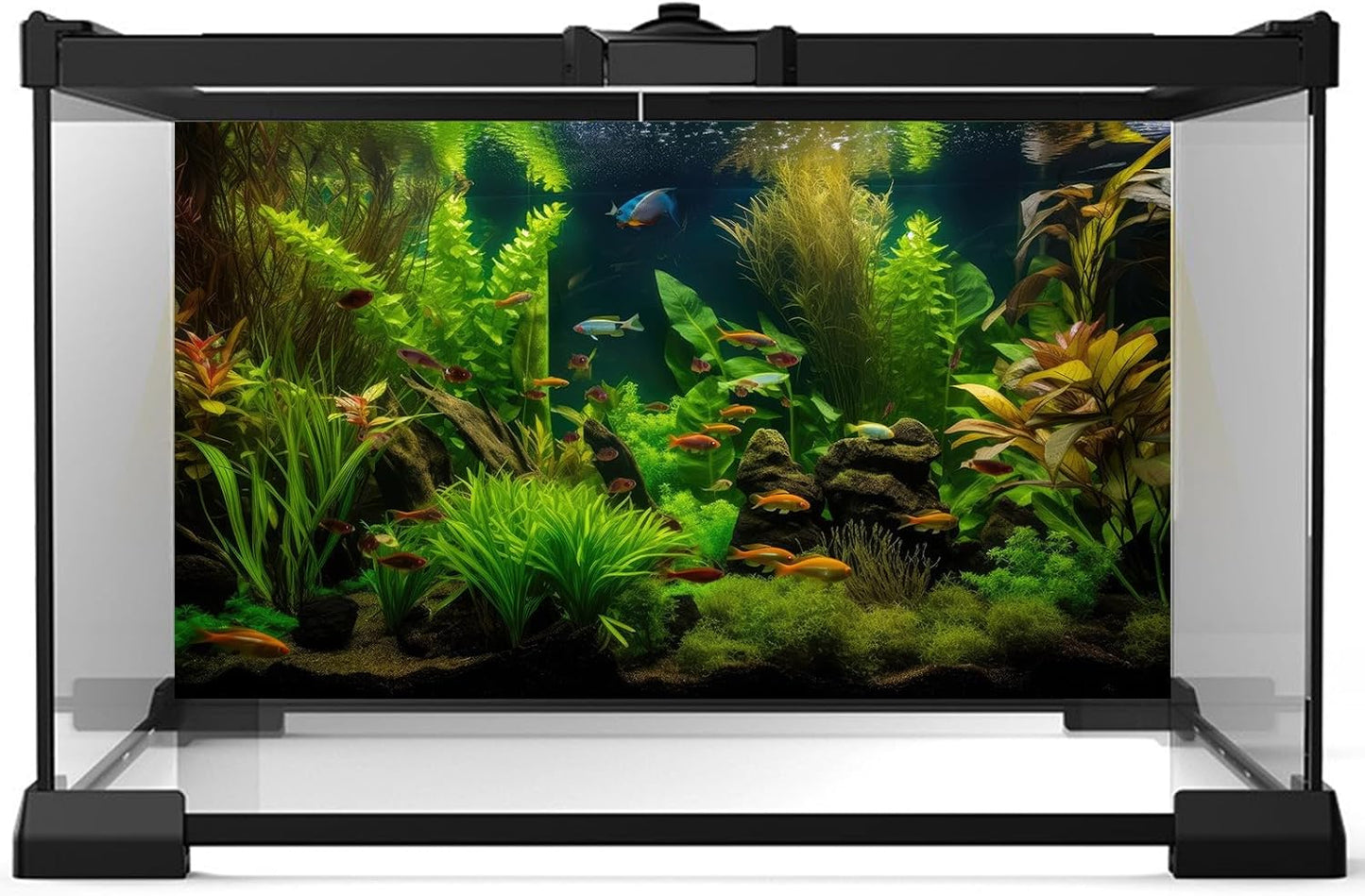 Aquarium Background Tropical Freshwater Colorful Fish Plants Fish Tank Background Tranquil Under The Sea Aquatic Plants Cork Redwood Root Lush Green Moss Reptile Tank Terrarium Background 60x24in