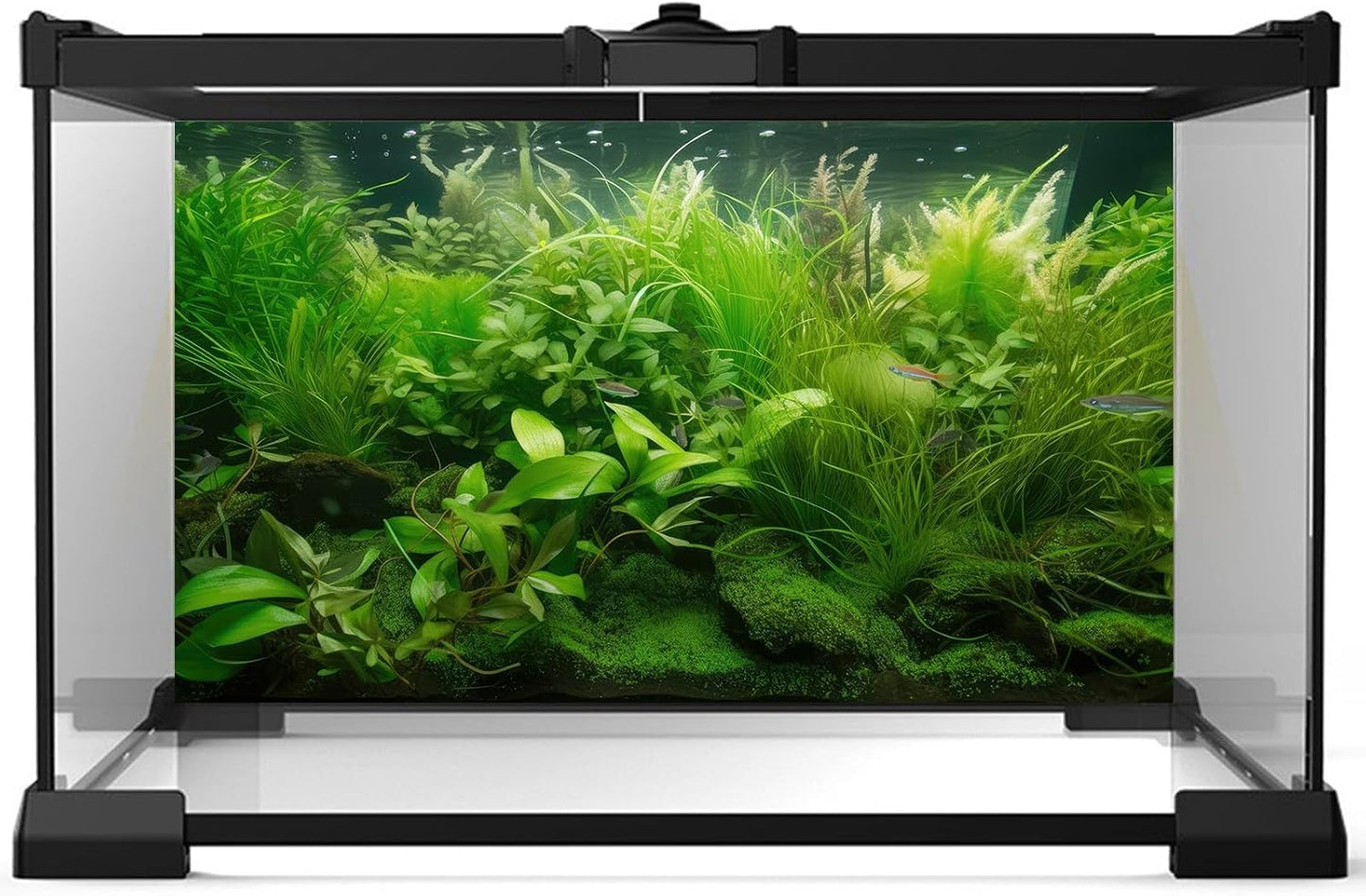 Aquarium Background Diverse Collection of Aquatic Plants Seagrasses Terrarium Background Redwood Root Moss Tropical Style Underwater Lush Green Plants Fish Tank Background Wallpaper Poster 72x24in