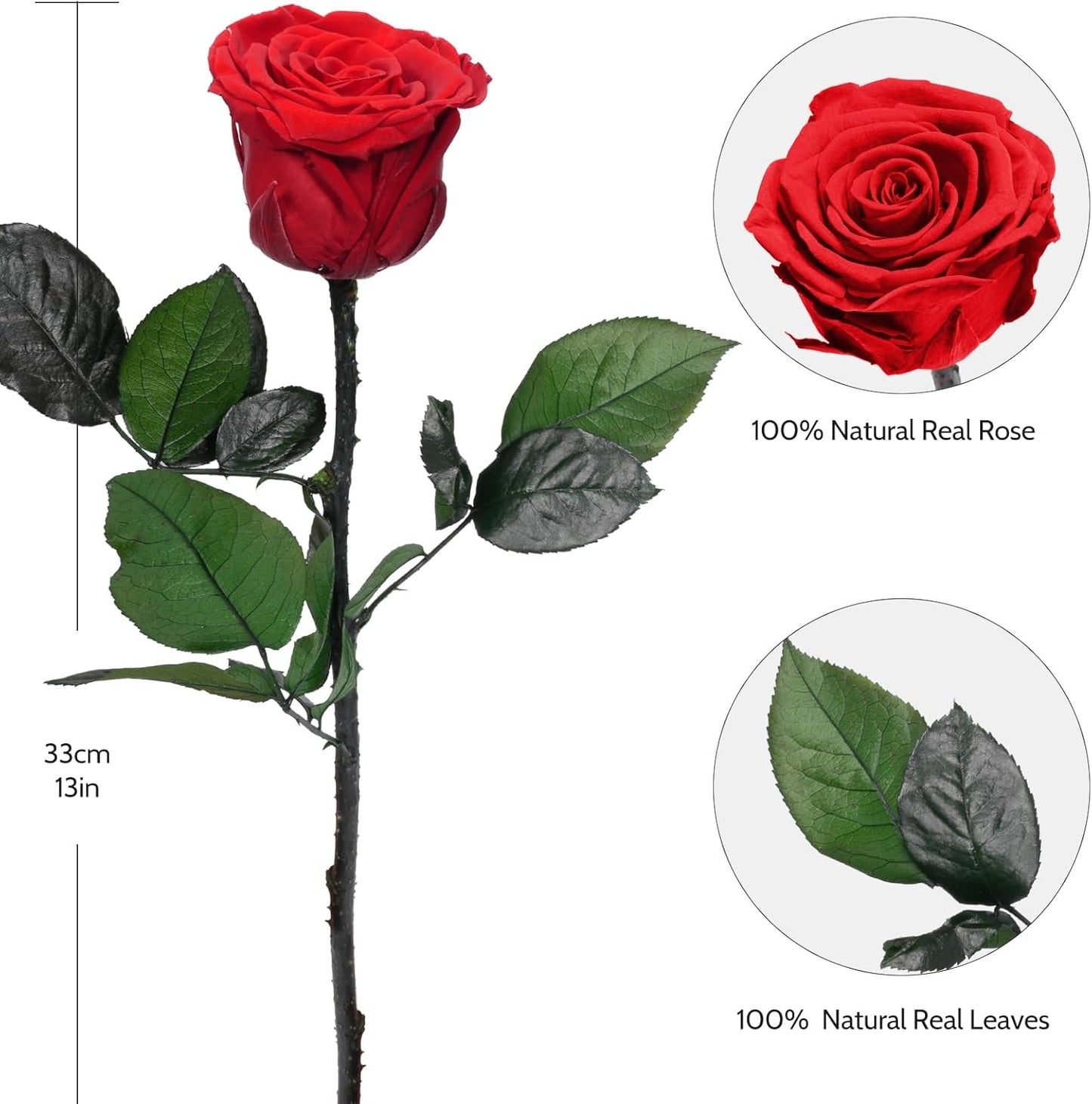Yamonic Preserved Flowers Rose for Women Mom, Mom Birthday Rose Gifts for Mother, Real Flower Rose for Her, Grandma, Wife, Girlfriend Gifts on Valentine's Day, Mothers Day,Anniversary