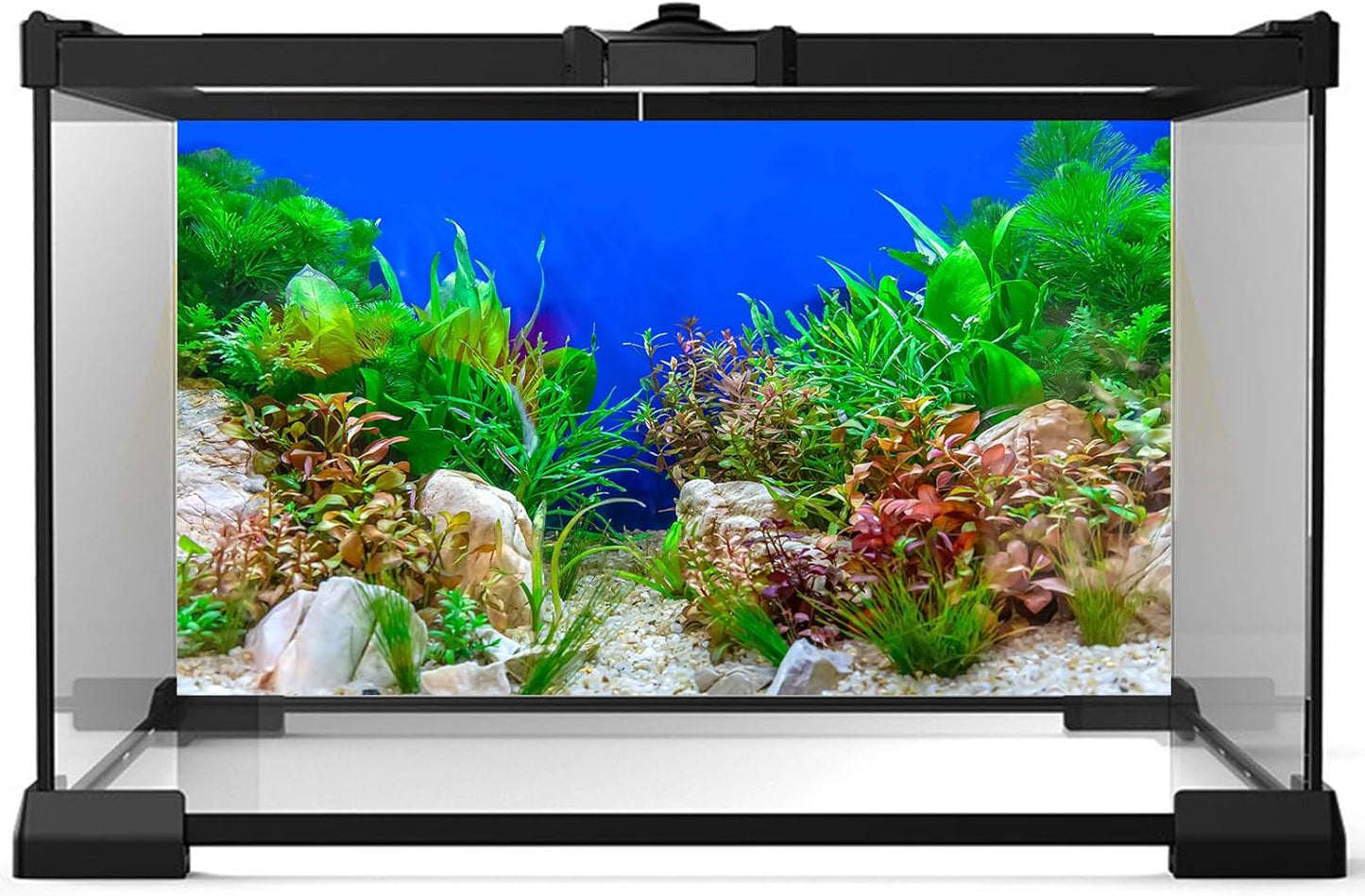 Aquarium Background Green Aquatic Plant Stone River Bed and Lake Fish Tank Background Decor Underwater Grass Leaves with Pebble Aquarium Backdrop Perfect Fish Tank Decors Vinyl 30x18in