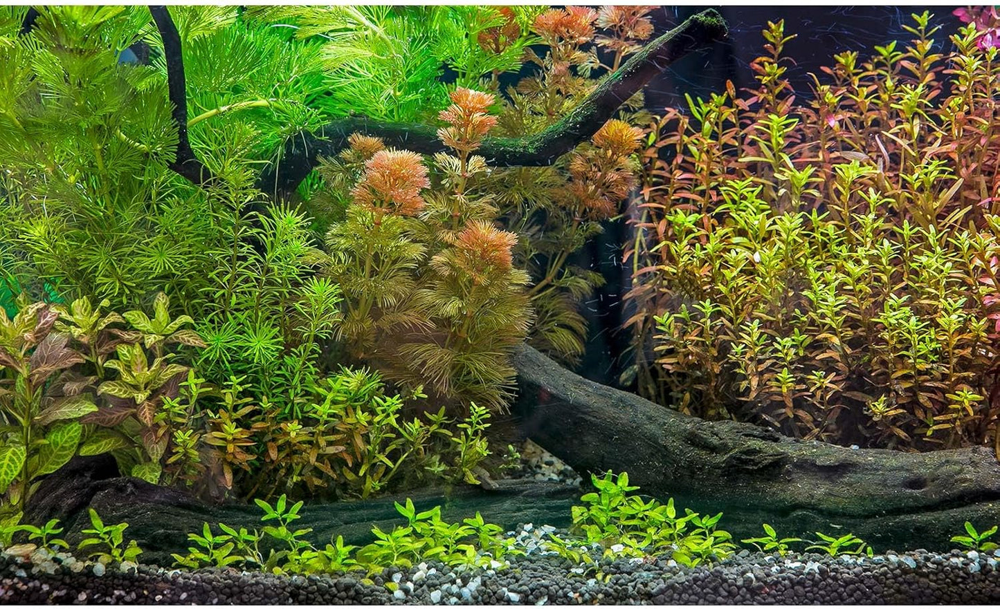 Aquarium Backdrop Underwater Grass Leaves with Pebbles Exquisite Aquarium Background Vivid Green Aquatic Plant Stone River Bed Fish Dead Wood Fresh Leaves Tank Background Decors Vinyl 72x16in