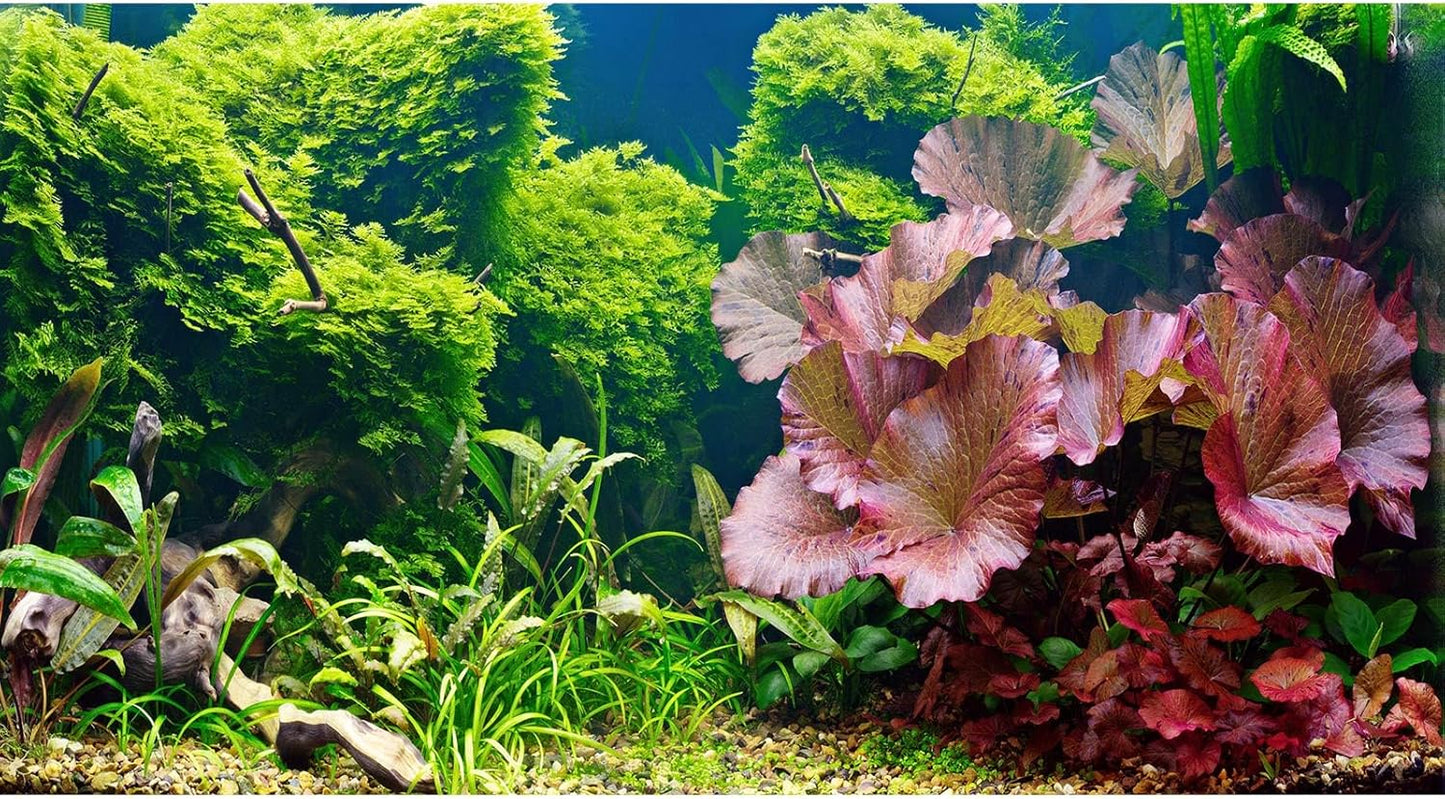 Aquarium Background Underwater Grass Leaves Pebble Aquarium Backdrop Vivid and Fresh Green Aquatic Plant Background Stone River Bed DeadWood Purple Leaves Tank Background Decor Vinyl 72x16in