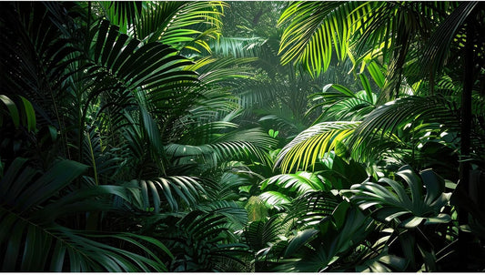 Aquarium Background Enchanting Beauty of Jungle Terrarium Backdrop Nature Jungle Green Leaf Palms Fish Tank Background Reptile Habitat Backdrop Wallpaper Poster Decor Vinyl 24x12in