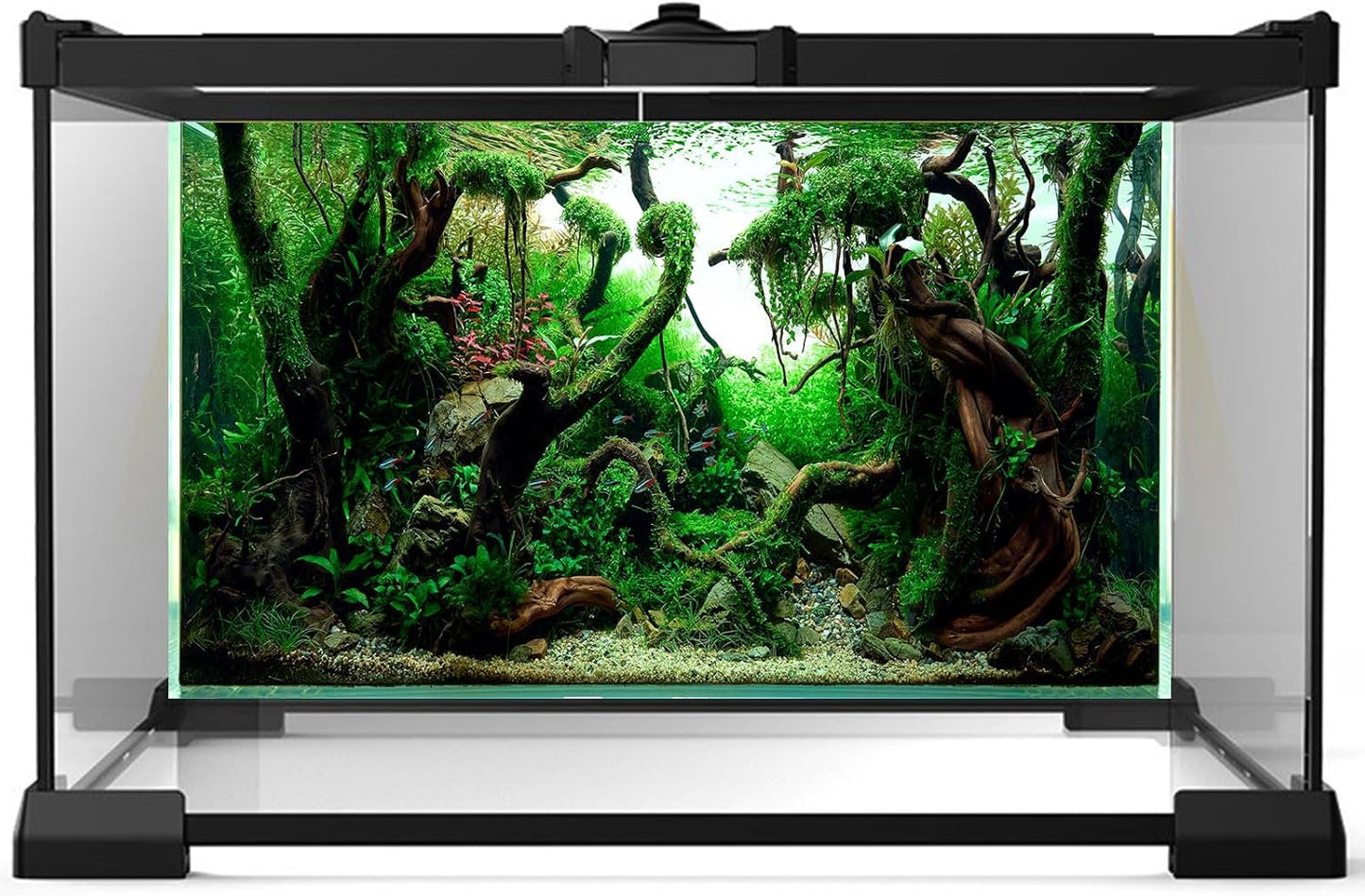 Aquarium Background Underwater Pebble Grass Leaves Aquarium Backdrop Vivid Fresh Green Aquatic Plant Stone River Bed Aquarium Backdrop Deadwood Purple Leaves Tank Background Vinyl 36x20in