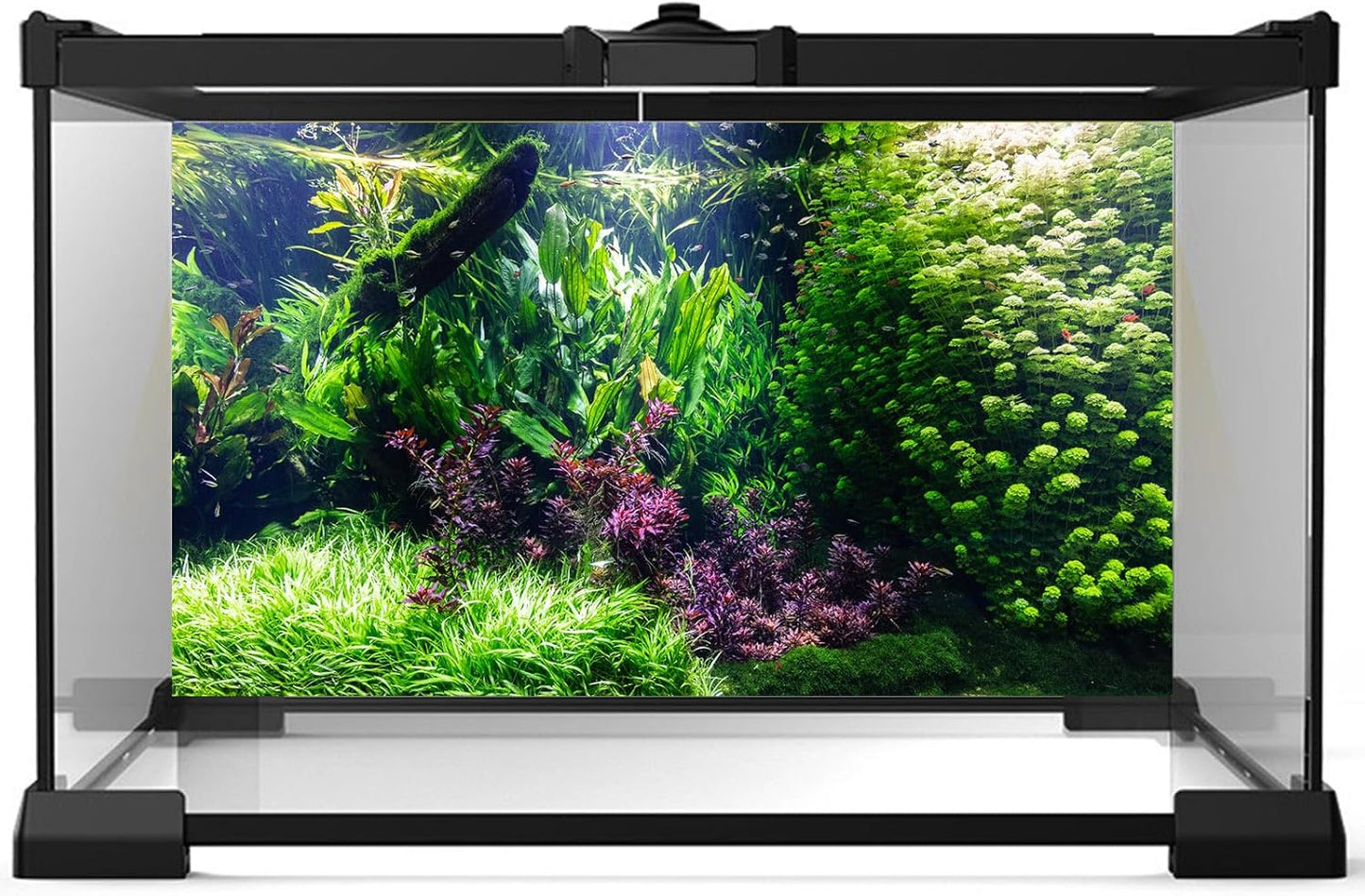 Aquarium Background Various Underwater Grass Plants Aquarium Backdrop Vivid and Fresh Green Aquatic Plants Stone River Bed and Dead Wood Tank Background Vinyl 36x24in