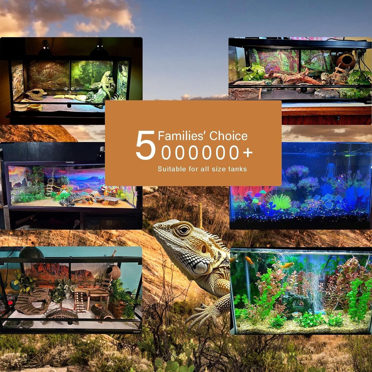 Underwater Aquarium Background Corals and Tropical Fish Terrarium Backdrop Rock Aquatic Plants Sunlight Rays Fish Tank Background Tank Aquarium Wallpaper Poster Decor 60x24in