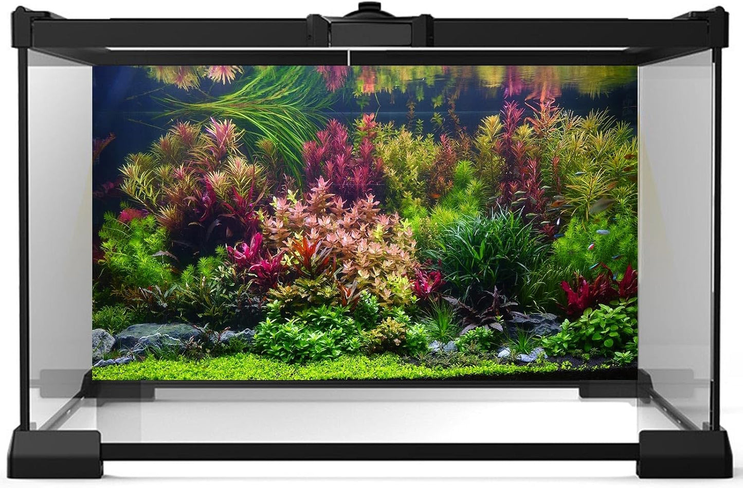 Aquarium Background Various Vivid Fresh Underwater Aquatic Plant Fish Tank Aquarium Backdrop Stone River Bed and Lake Fish Terrarium Background Decor Vinyl 36x18in