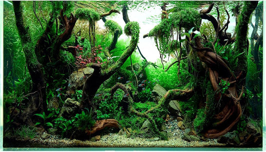 Aquarium Background Underwater Pebble Grass Leaves Aquarium Backdrop Vivid Fresh Green Aquatic Plant Stone River Bed Aquarium Backdrop Deadwood Purple Leaves Tank Background Vinyl 48x20in