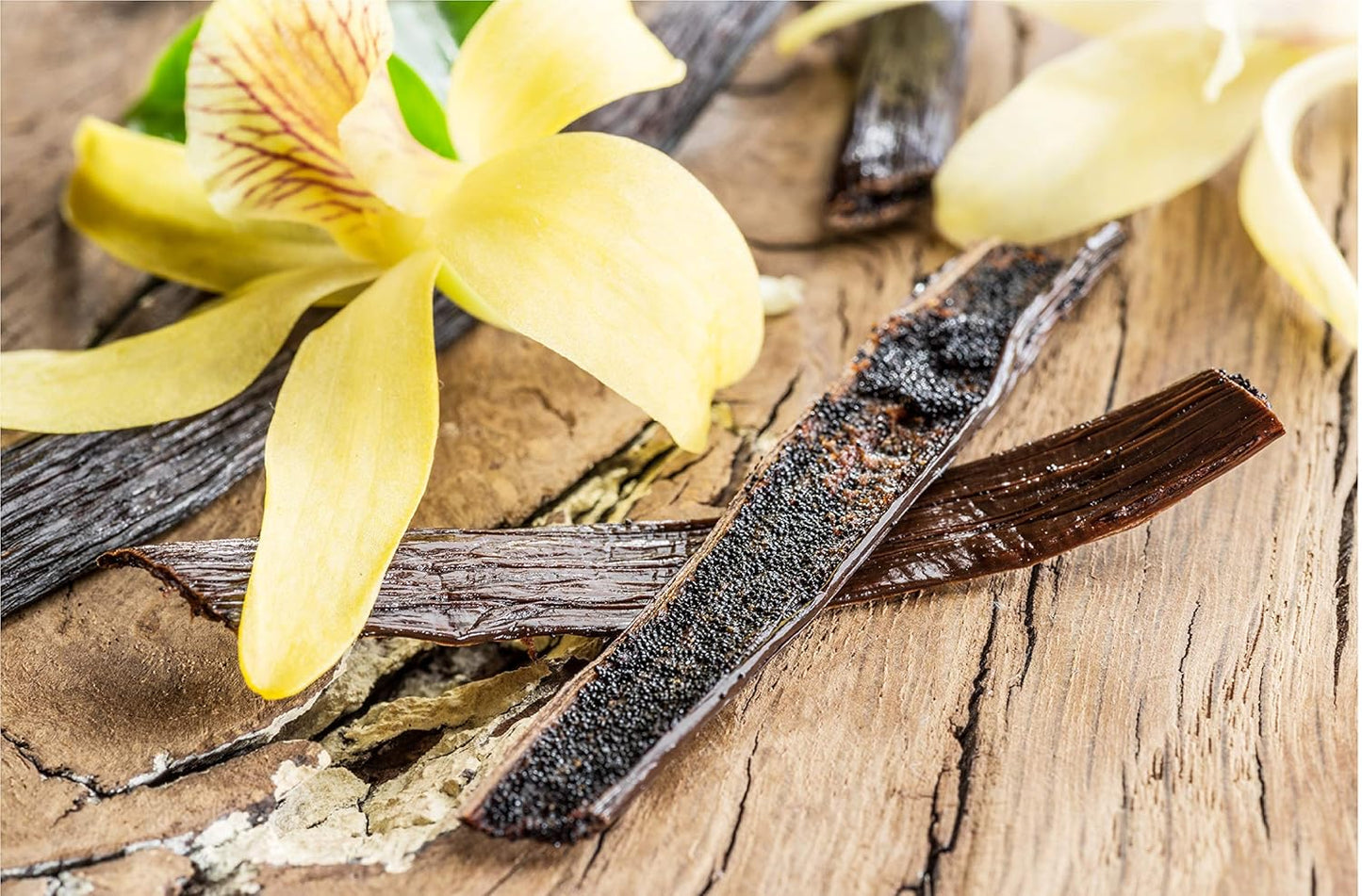 10 Organic Madagascar Vanilla Beans - Whole Extract Grade B Pods for Baking, Homemade Extract, Brewing, Coffee, Cooking